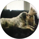 Olivia King profile picture